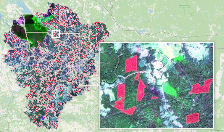 Внедрение в регионе проекта «Цифровая Земля» от «ТЕРРА ТЕХ» позволяет усилить контроль за использованием лесов и земель