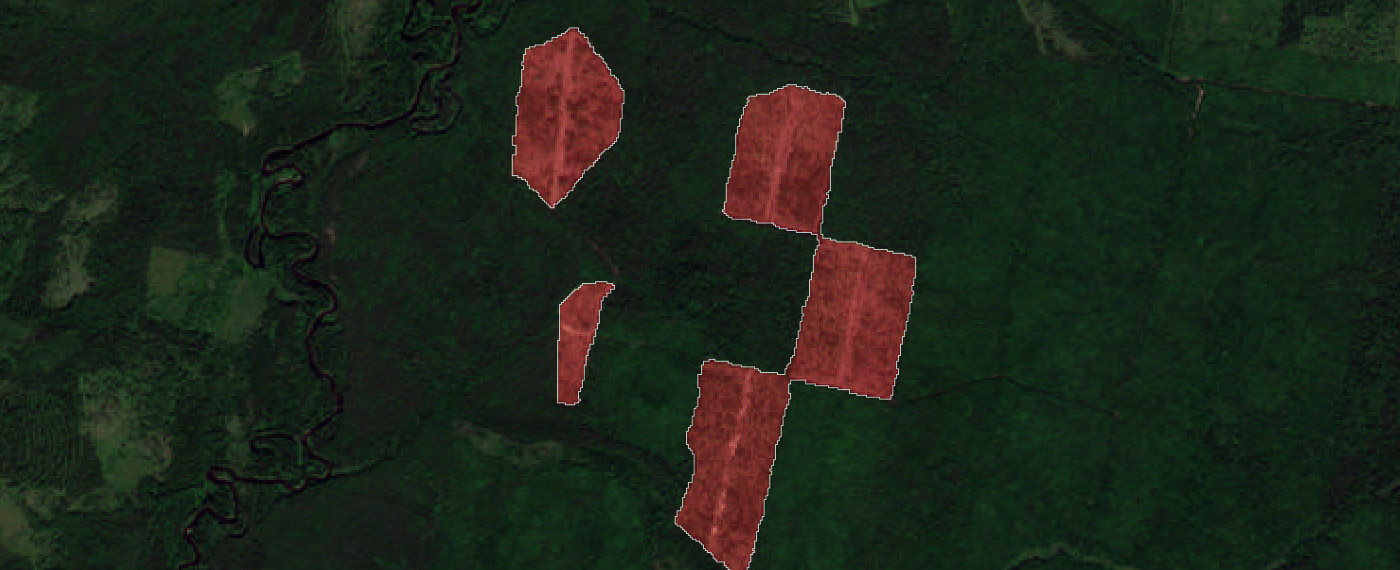 Планирование и контроль хозяйственной деятельности в лесу