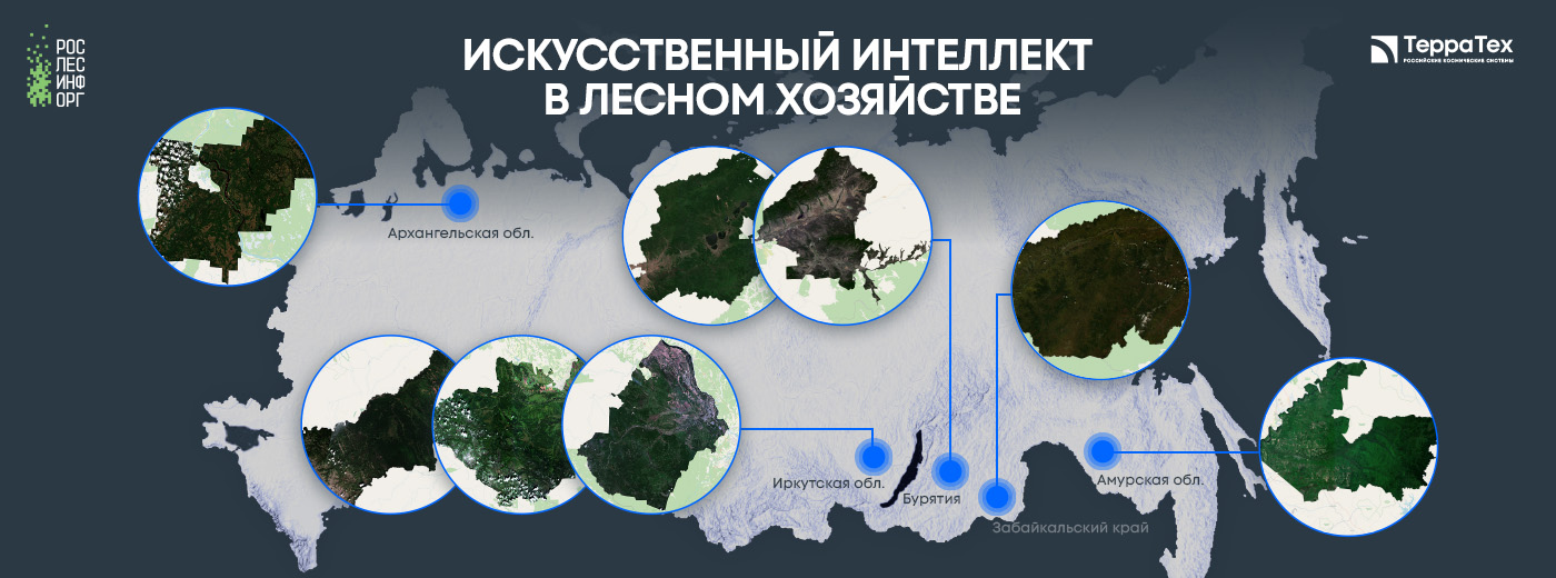 Космические технологии «Терра Тех» повышают эффективность управления лесным хозяйством России